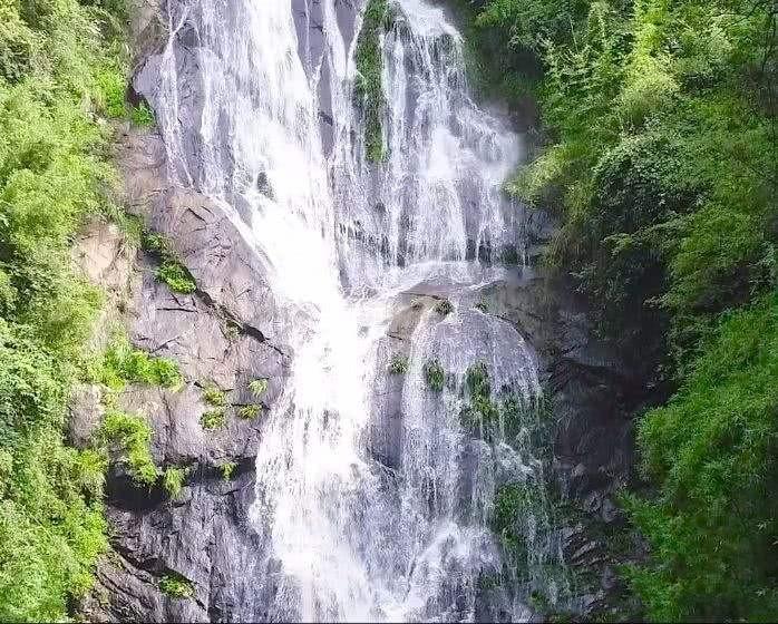 蝴蝶领结